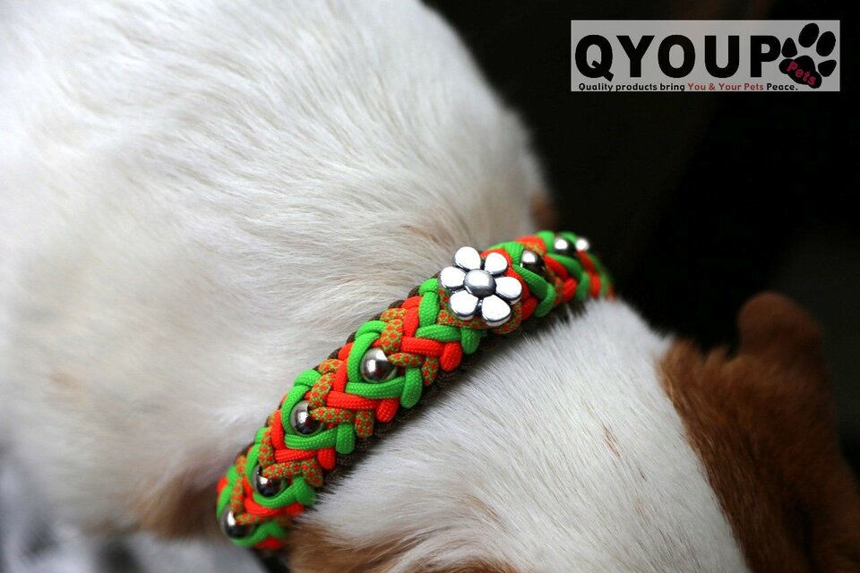 パラコード犬用首輪<小中犬用>〈サイズ：31～34cm〉　ParaWan combi Folklore［フォークロア］