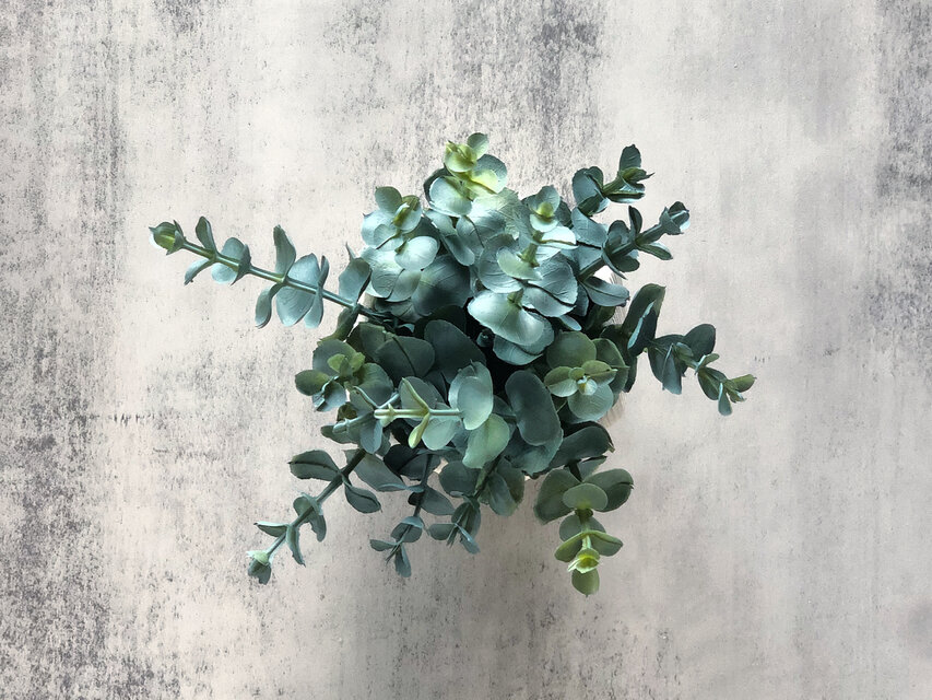 ユーカリ】フェイクグリーン 観葉植物 インテリアグリーン | iichi