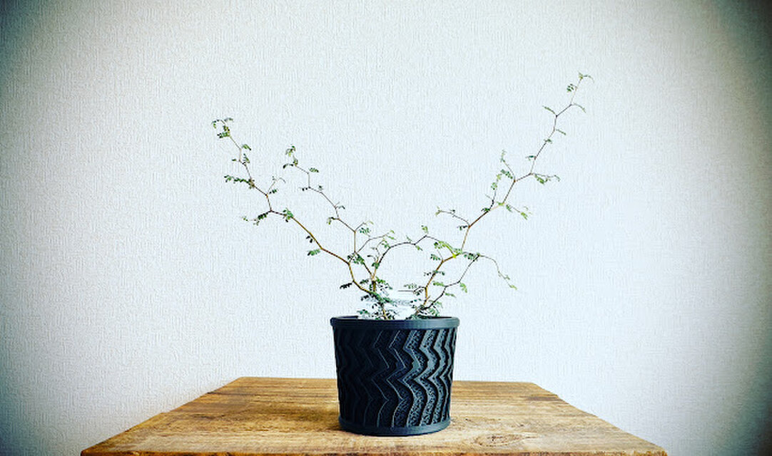 植木鉢　植木鉢カバー　メッシュ植木鉢(雷)　3号　マルチ植木鉢