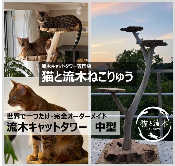 猫と流木ねこりゅう】完全オーダーメイド 流木キャットタワー 中型