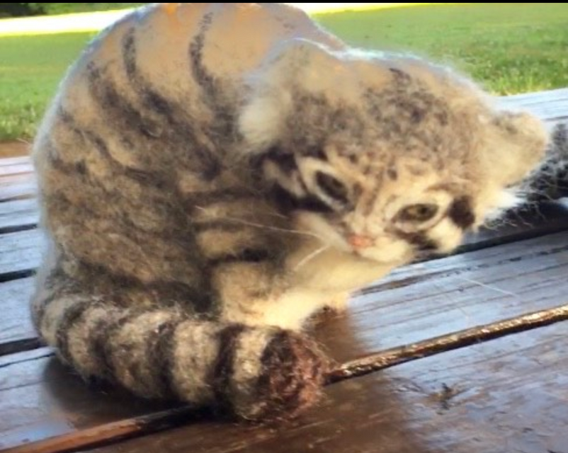 羊毛フェルトのマヌルネコ 子猫 | iichi 日々の暮らしを心地よくする