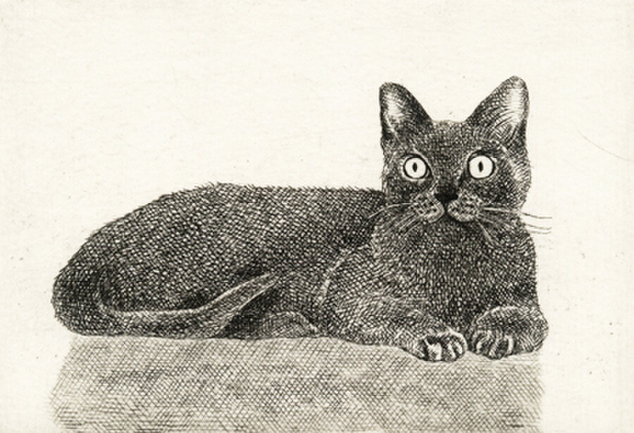 くつろぐ猫/銅版画(額カラー・黒/あり） | iichi 日々の暮らしを