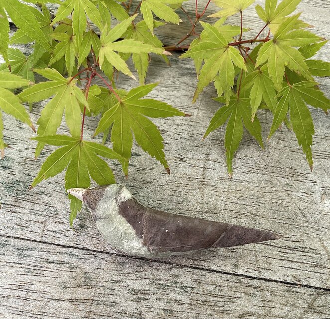 小鳥のブローチ