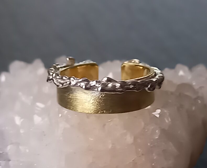 Utoka ☆ brass × silver    蔓  イヤーカフ