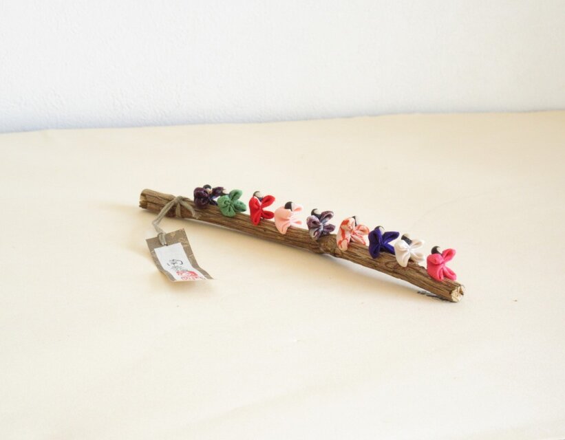 ☆南天九猿☆⑨