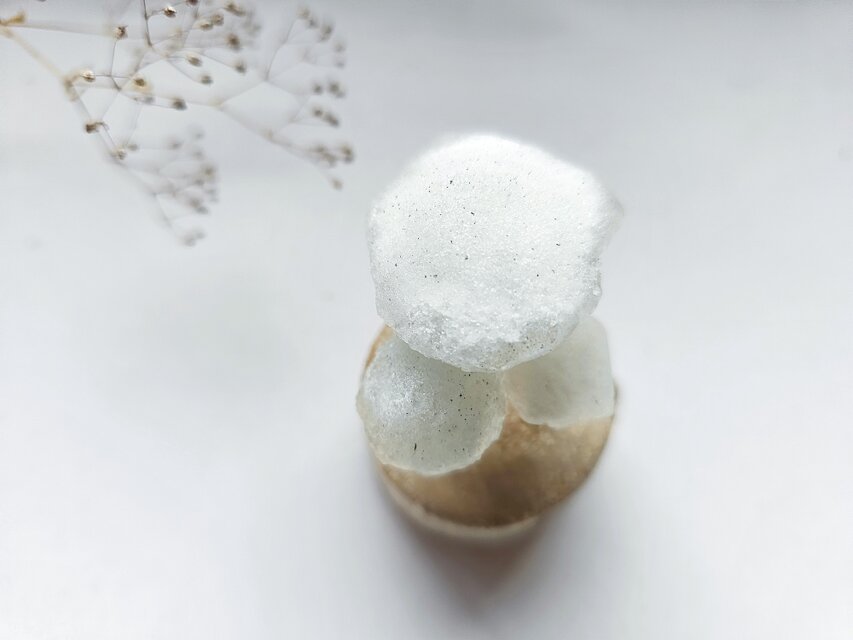 きのこオブジェ3セット きのこオブジェ 3個セット 置物 木製 雑貨 Bタイプ | 福岡県大川