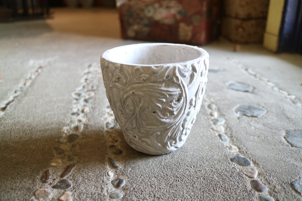 オリーブの木　ネバディロブランコ　陶器鉢植え　苗 再入荷＜SOUJU> ちっちゃなオリーブの木 ＜ ネバディロブランコ＞と