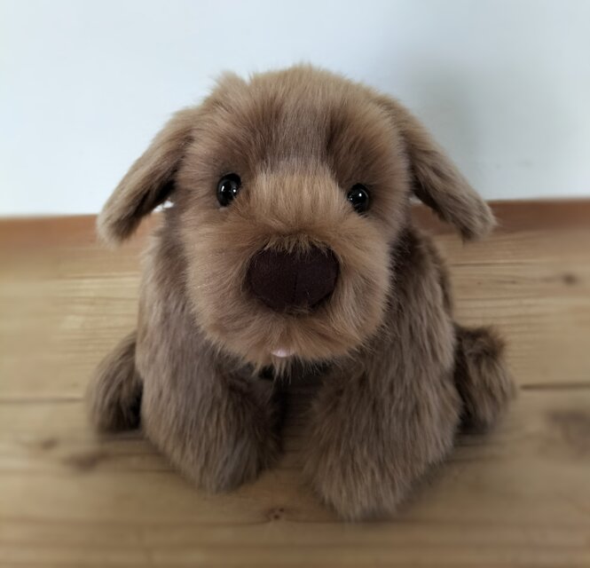 感動する抱き心地。重さ約1500g、いのちの重さを感じるぬいぐるみ・キャメル色（ミニタイプ）ダックス/プードル/リアル/犬