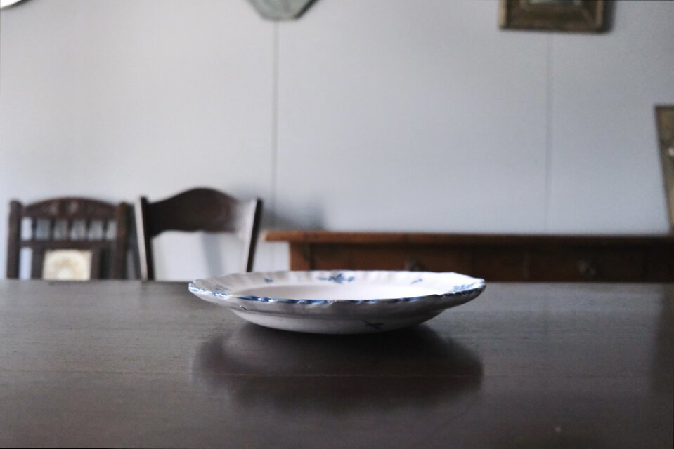 Moustiers ムスティエ 小枝柄 シェルリム 皿 深皿 平皿 φ24.3cm