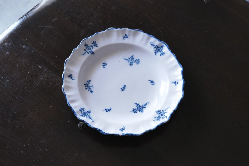 Moustiers ムスティエ 小枝柄 シェルリム 皿 深皿 平皿 φ24.3cm
