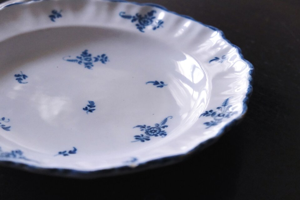 Moustiers ムスティエ 小枝柄 シェルリム 皿 深皿 平皿 φ24.3cm