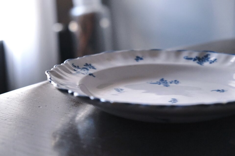 Moustiers ムスティエ 小枝柄 シェルリム 皿 深皿 平皿 φ24.3cm