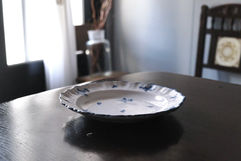 Moustiers ムスティエ 小枝柄 シェルリム 皿 深皿 平皿 φ24.3cm