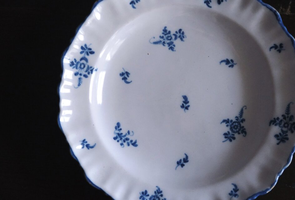 Moustiers ムスティエ 小枝柄 シェルリム 皿 深皿 平皿 φ24.3cm