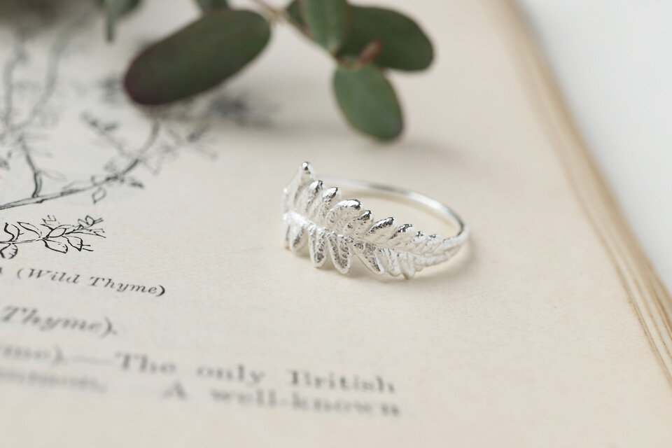 摘み草 ワラビのリング