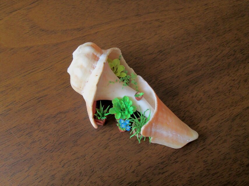 ［ivy様ご依頼品］貝がら　ミニチュア　Green(2)