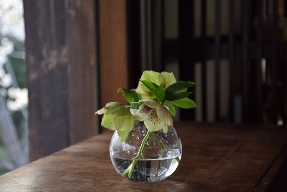 もこもこ泡花瓶