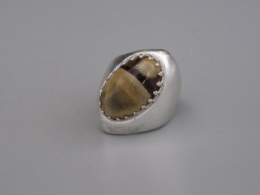 太陽系の惑星たち