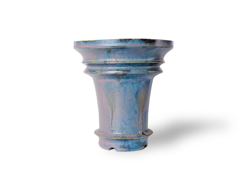 トゥルボアドケールム / 青（鉢・プランター）