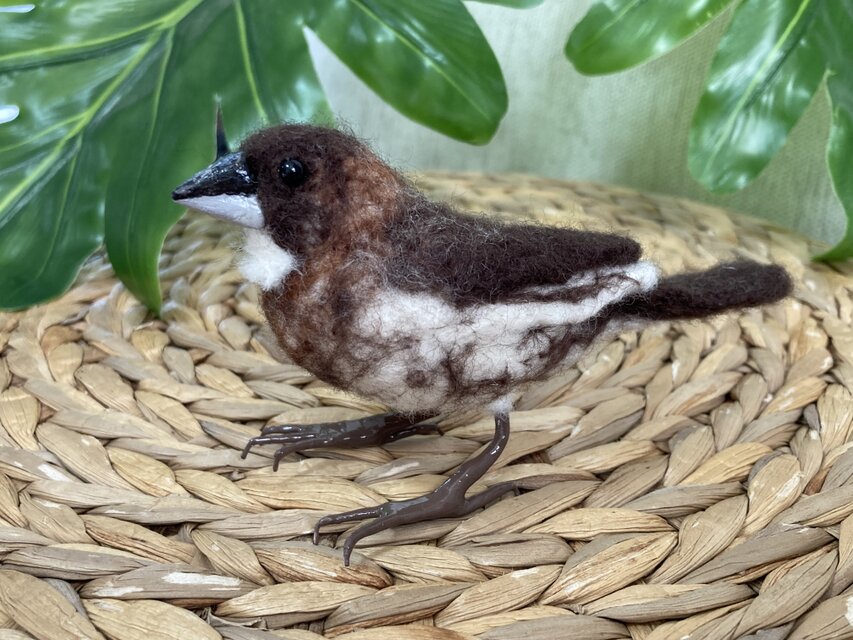 Ｋ様オーダー品　十姉妹