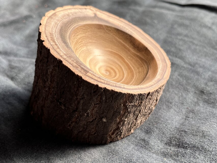 紡ぎ独楽用受け皿・ファイトテルマータ③