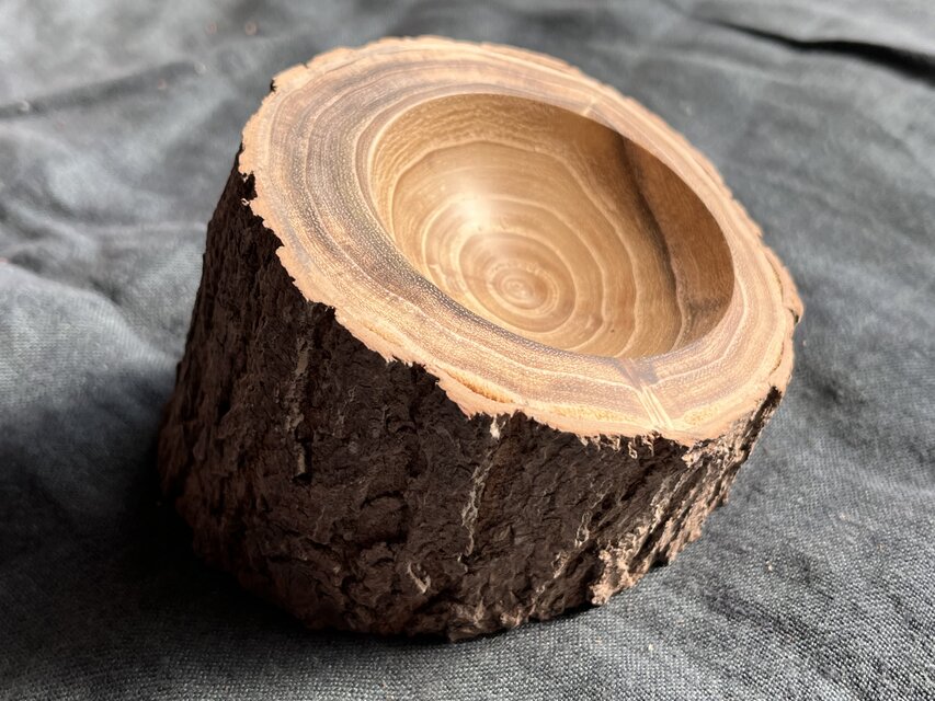 紡ぎ独楽用受け皿・ファイトテルマータ⑤