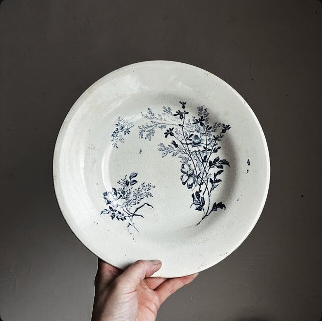 フランス　アンティーク　深皿　野ばら　テール・ド・フェール