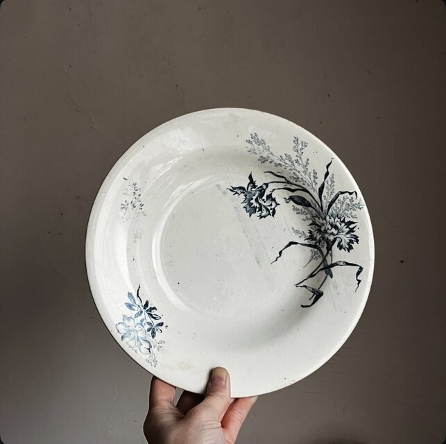 フランス　アンティーク　深皿　カーネーション　テール・ド・フェール