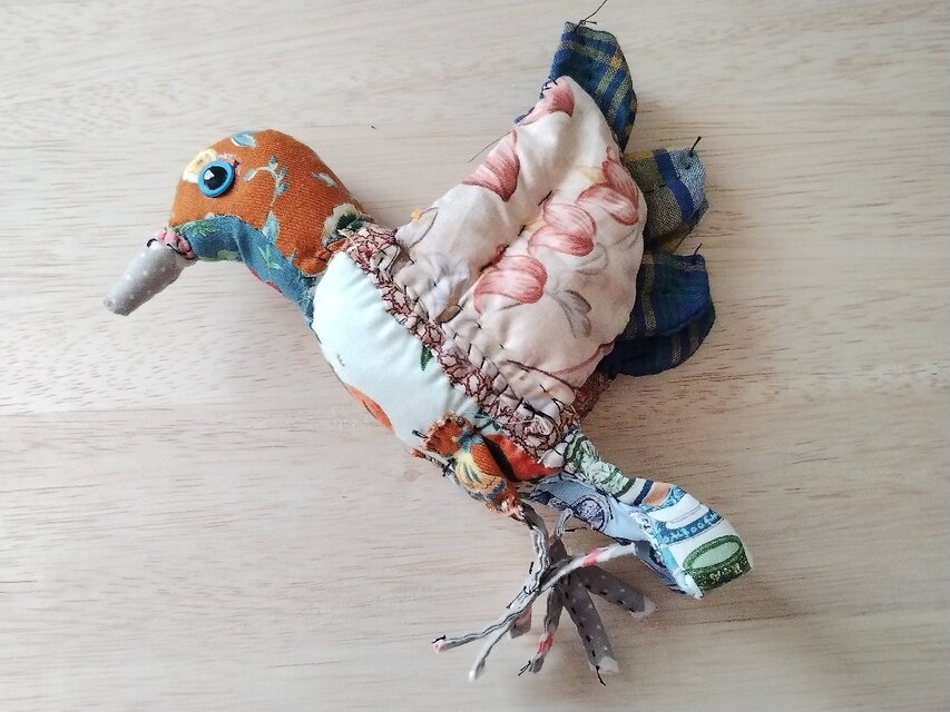 陽光鳥　温暖湿潤