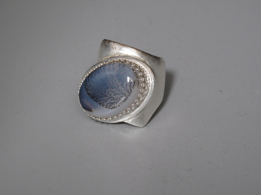 理科の実験、葉脈標本