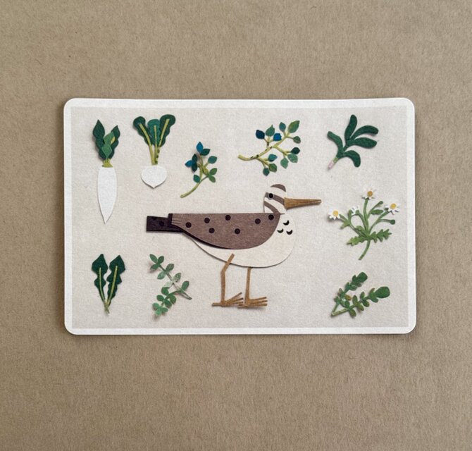 「緑の息吹」 同柄 2枚セット