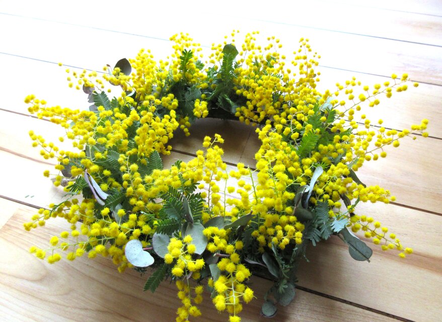 2025ミモザリース