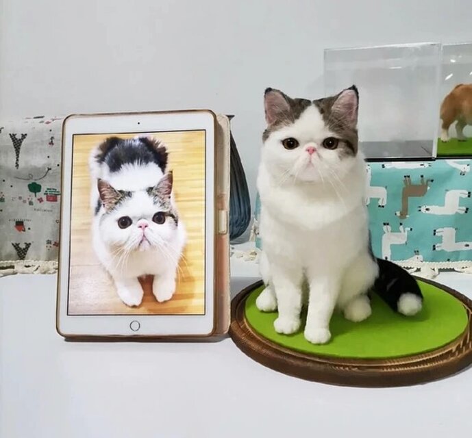 【オーダーメイド ペット】 羊毛フェルト 猫 亡くなったペット ぬいぐるみ 猫 うちの子、ペット似顔絵、犬 猫 人形