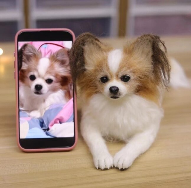 羊毛フェルト犬　モコクル Yahoo!オークション - 羊毛フェルト 犬 柴犬 子犬