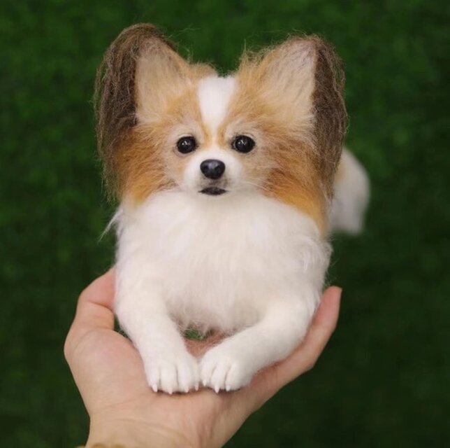 愛犬さんの羊毛フェルトオーダー・茶子様ご購入専用 愛犬さんの羊毛フェルトオーダー・茶子様ご確認専用 - メルカリ