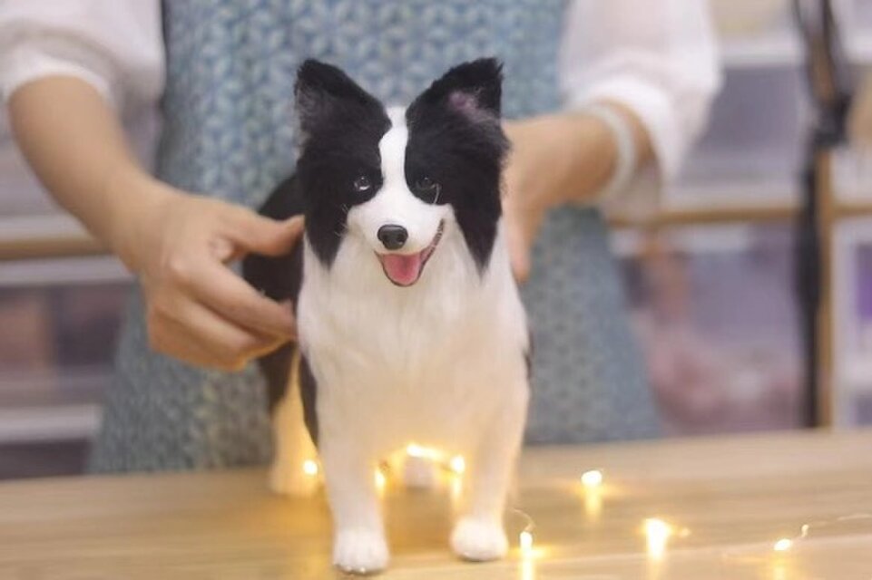 borderページ❣️ボーダーコリー羊毛フェルトオーダー犬全身像 羊毛フェルト ボーダーコリー 羊毛フェルト masapan 通販
