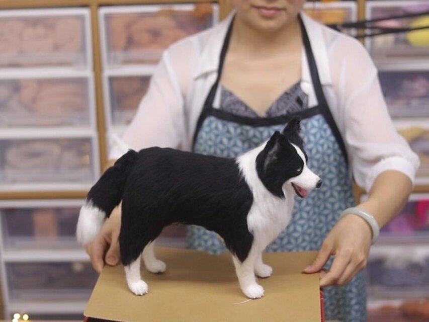 borderページ❣️ボーダーコリー羊毛フェルトオーダー犬全身像 羊毛フェルト 犬 ボーダーコリー 1 羊毛フェルト masapan 通販