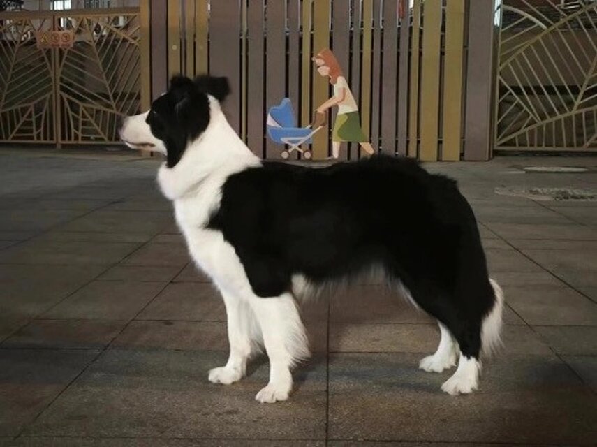 オーダーメイド ペット】犬 ぬいぐるみ リアル 愛犬 人形