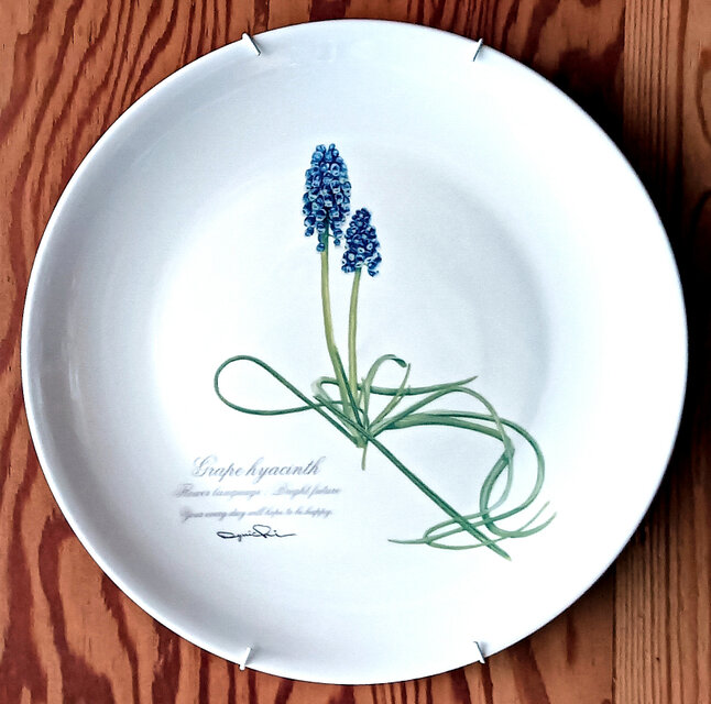 ムスカリのやさしい陶器の壁掛け絵皿(30cm) 送料無料