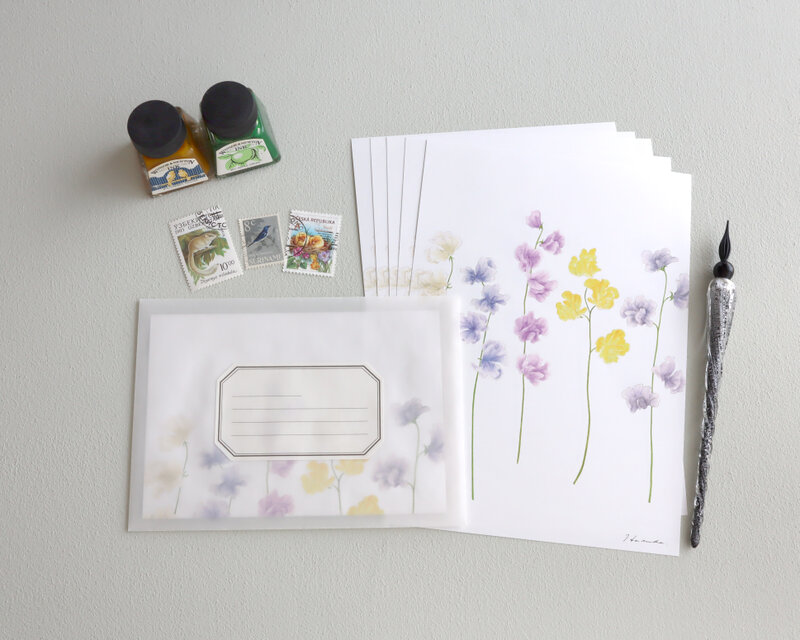 レターセット スイートピー