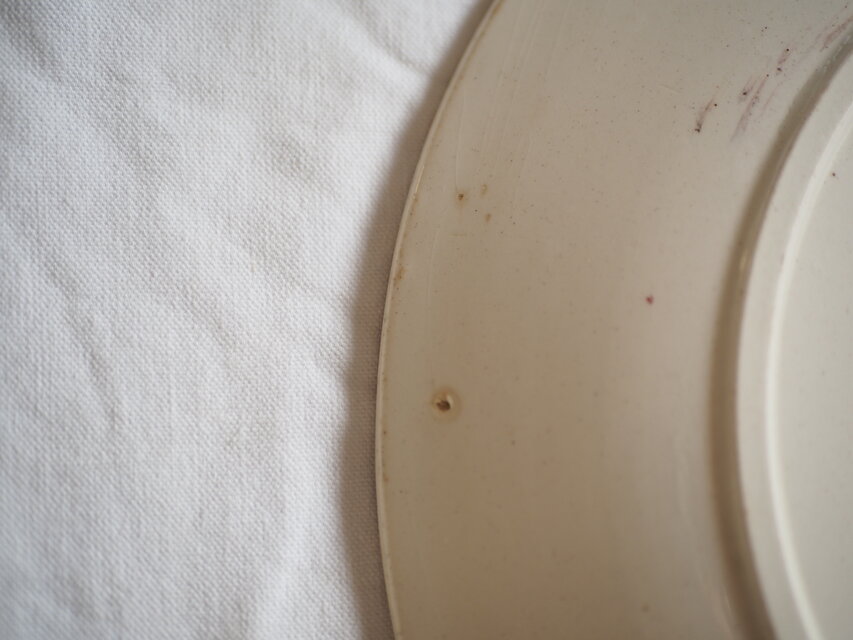 Sarreguemines antique plate サルグミンヌ SARREGUEMINES | Small Plate – VISIONS