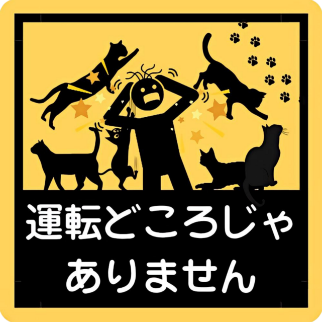 運転どころじゃありません
