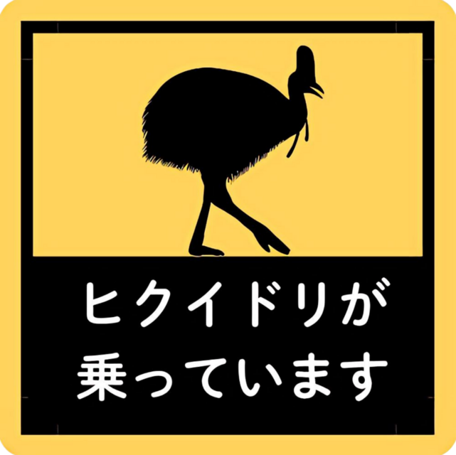 ヒクイドリが乗っています