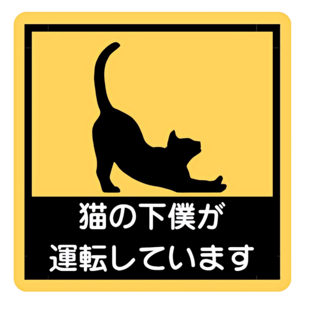 猫の下僕が運転しています