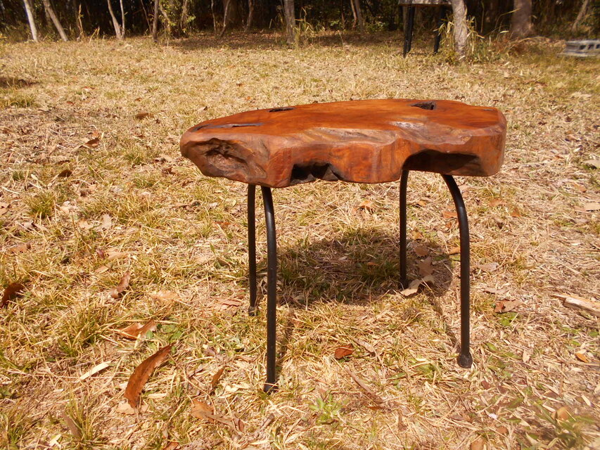 　　柿の木　低アイアンイス　03-25　　高さ40㎝：僅かな高さ変更可能）のコピー