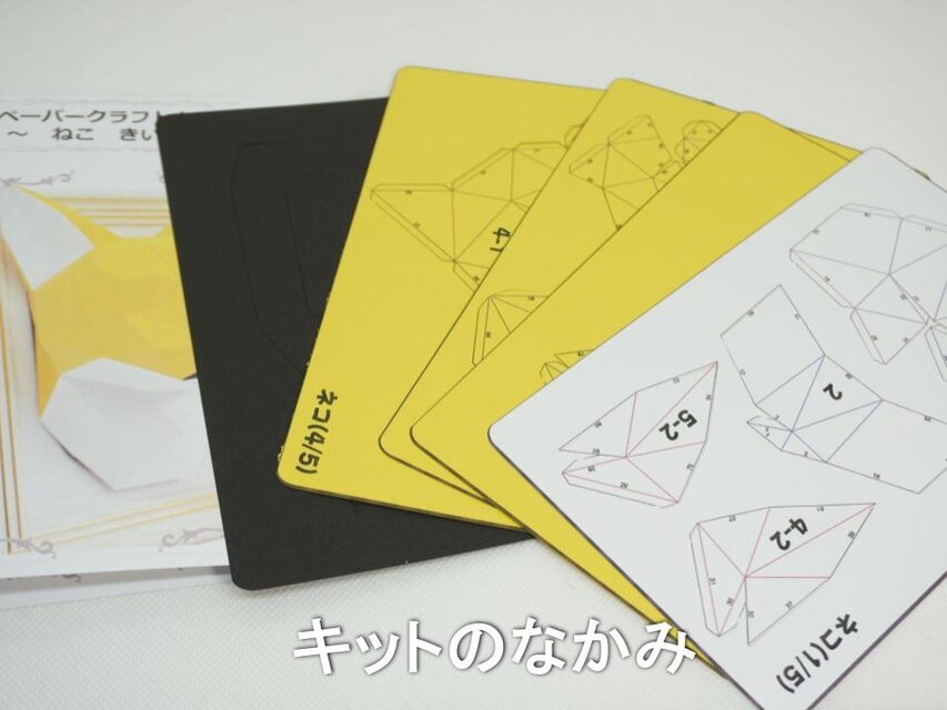 秋元ペーパークラフトキット 8/24・25はポイント10倍／ ペーパークラフトキット アクリル