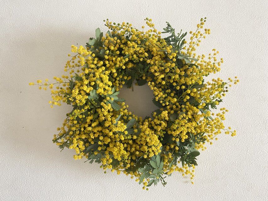 ドライミモザリース