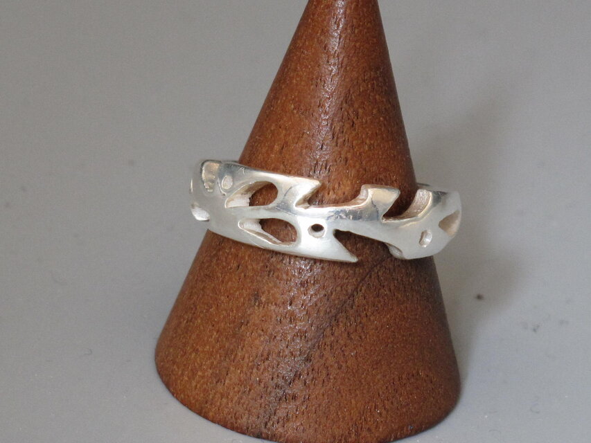 変わりモンステラ