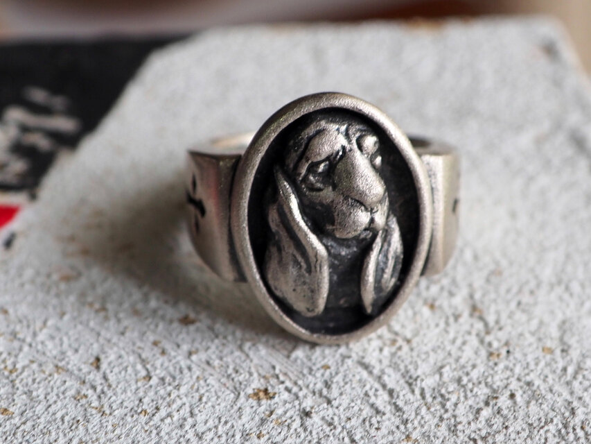 バセットハウンド