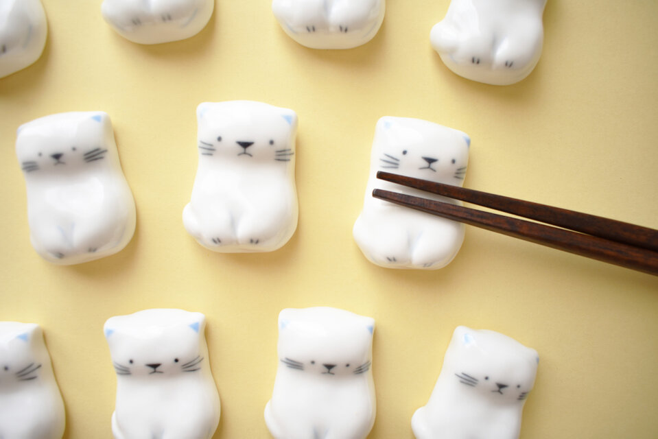 シャイな白猫のはしおき